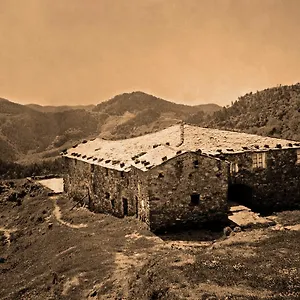  Alloggio per agriturismo Degli Olivi